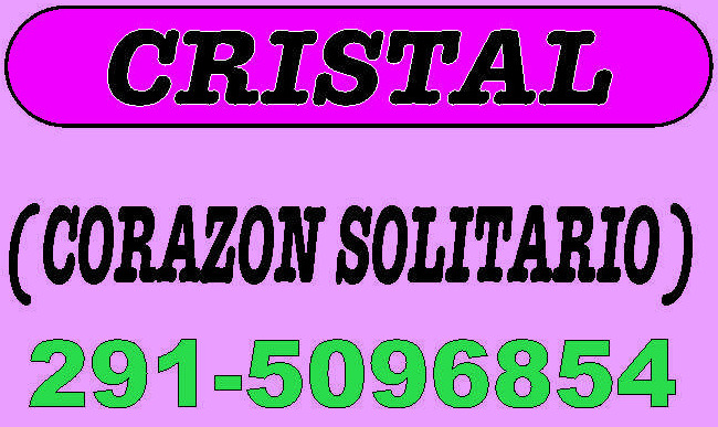 WhatsApp Image 2025-09-22 at 19.50.23