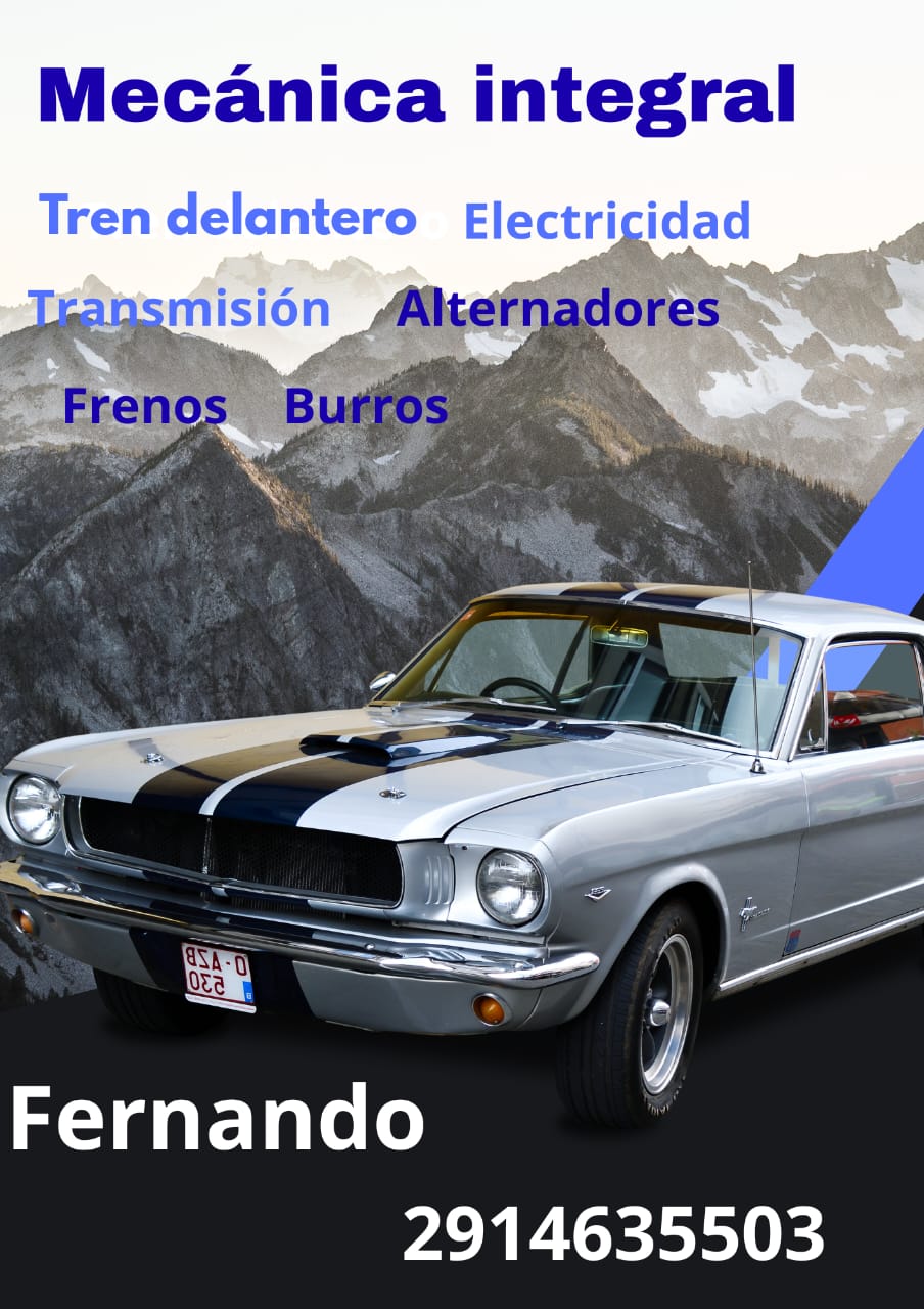 WhatsApp Image 2025-10-22 at 12.13.37 (1)