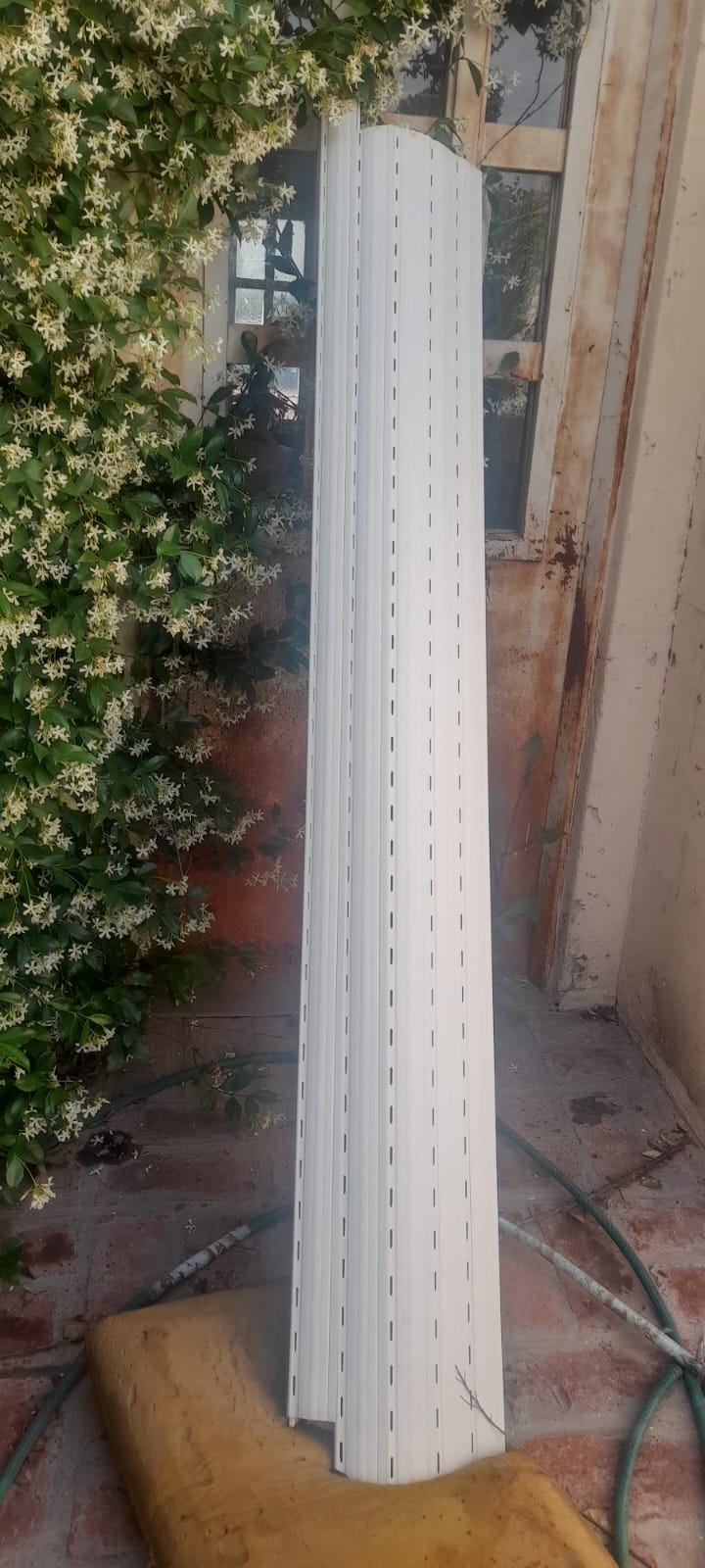 WhatsApp Image 2025-11-04 at 09.45.22