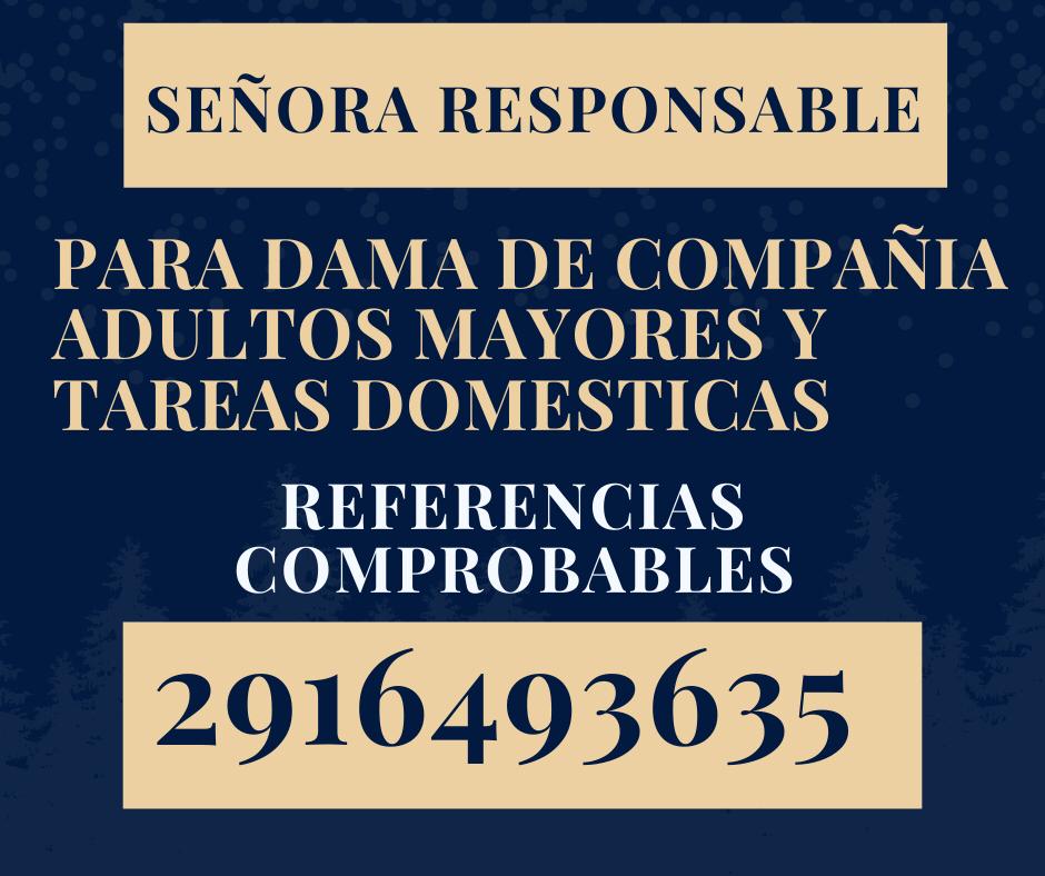 WhatsApp Image 2025-11-17 at 17.34.41