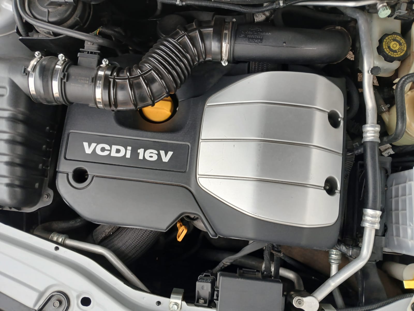 WhatsApp Image 2025-12-26 at 20.35.13 (1)