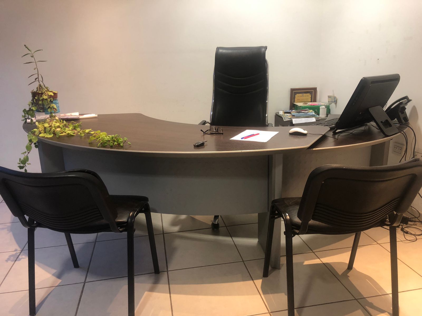 WhatsApp Image 2026-02-19 at 14.52.29