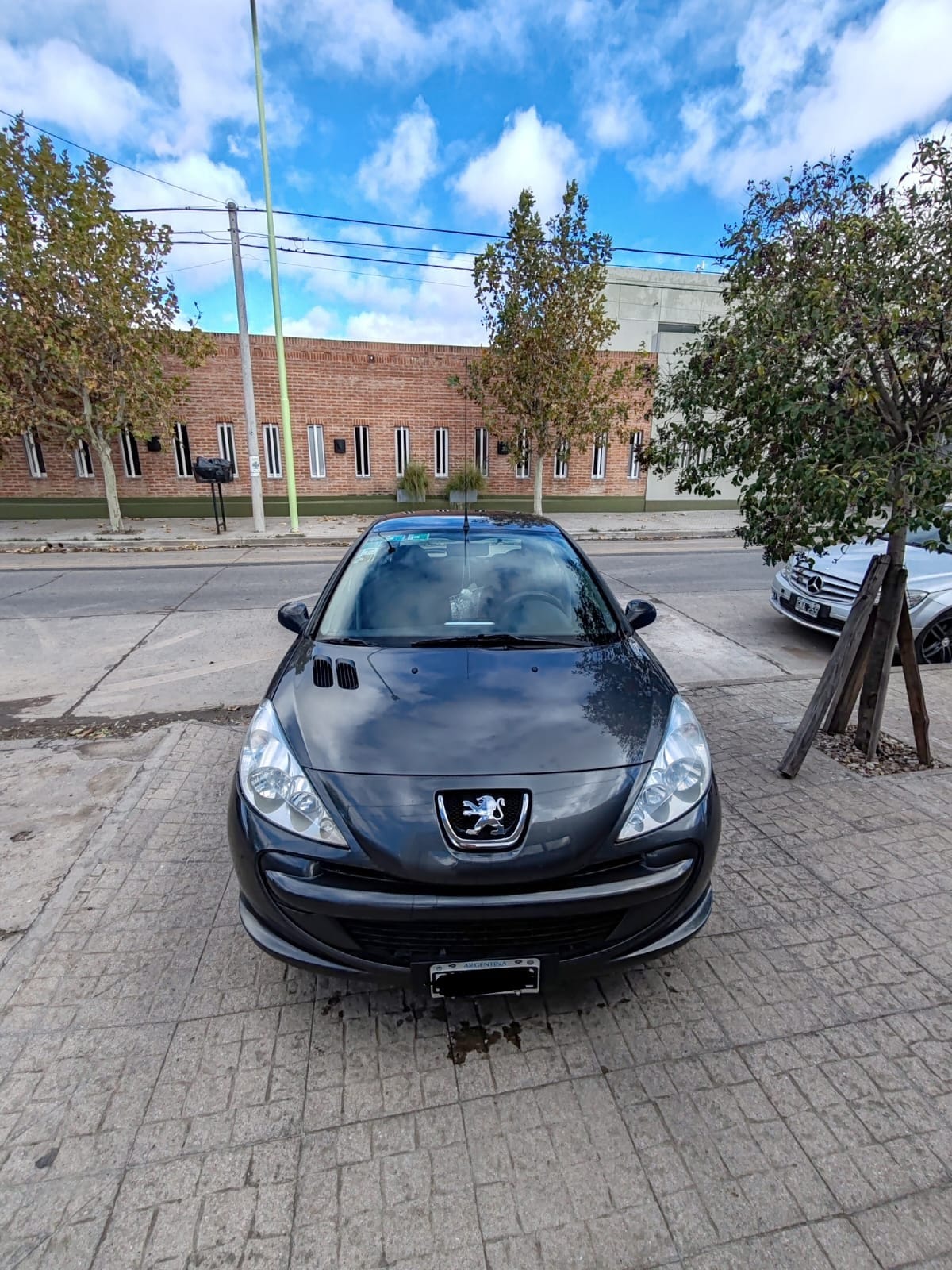 WhatsApp Image 2026-02-20 at 19.58.38